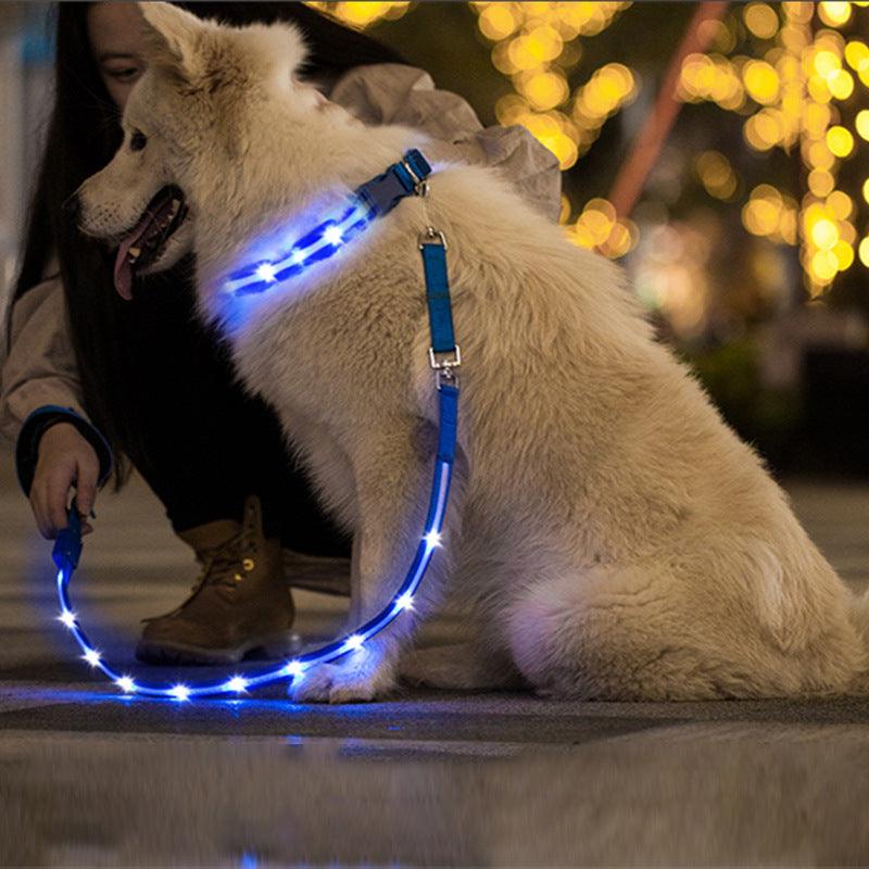 Luminous Glow-In-The-Dark Usb Charging Pet Leash