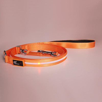 Luminous Glow-In-The-Dark Usb Charging Pet Leash