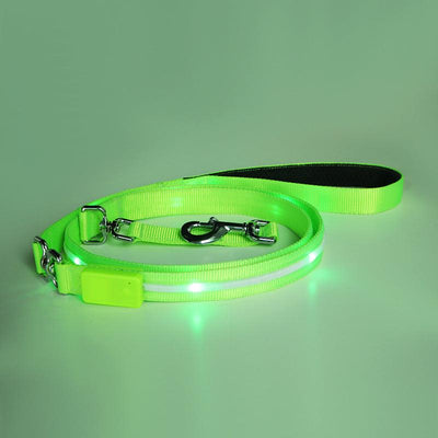 Luminous Glow-In-The-Dark Usb Charging Pet Leash